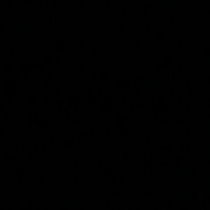 Meet your Posher, Samuel